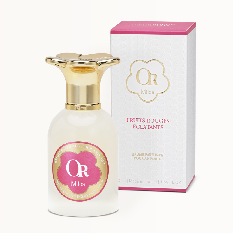 Fruits Rouges Éclatants